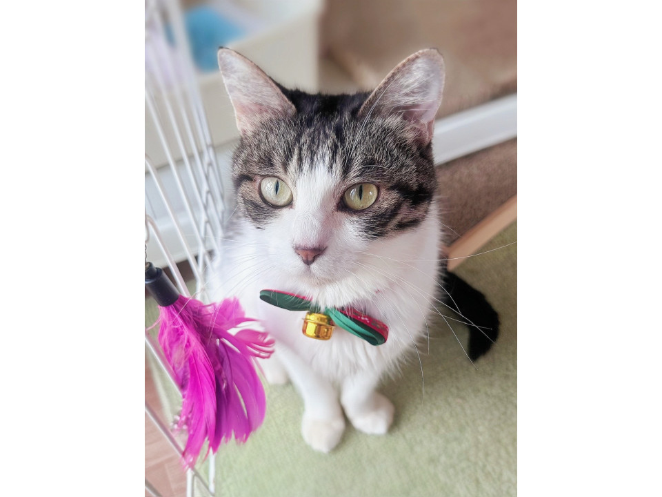 かねちー☆7-8歳くらい