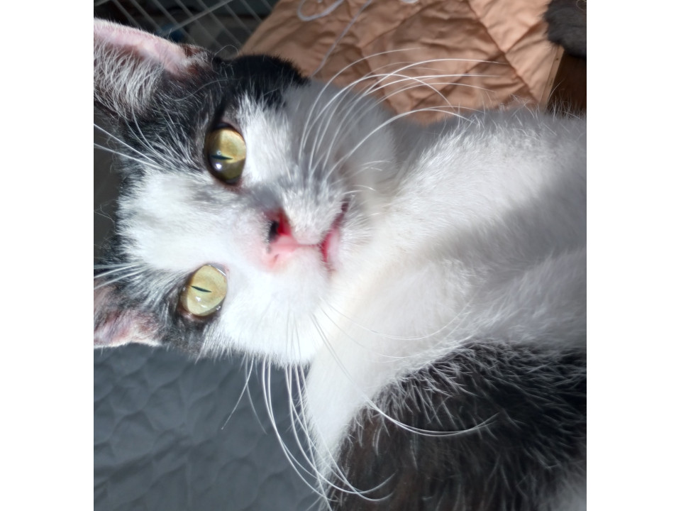 甘ったれのオジサン坊やです(*_*)