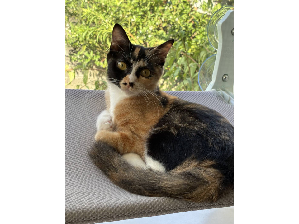 11/2堺市里親会☆はるみちゃん