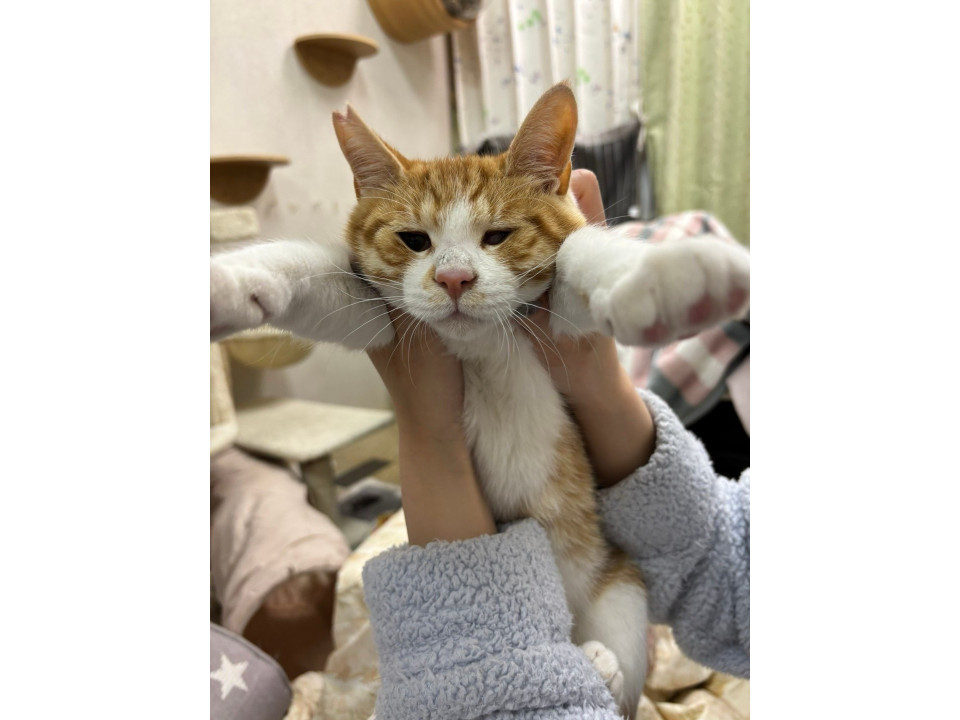 癒し系♡ポンくん