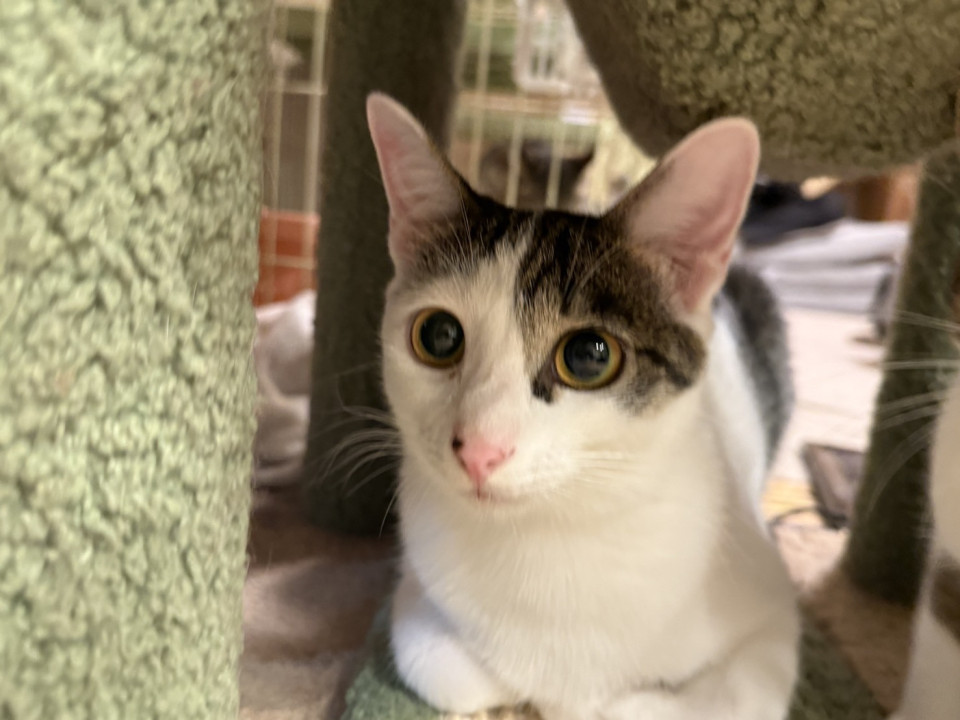 オヤツ大好きな可愛い女の子かりんちゃん