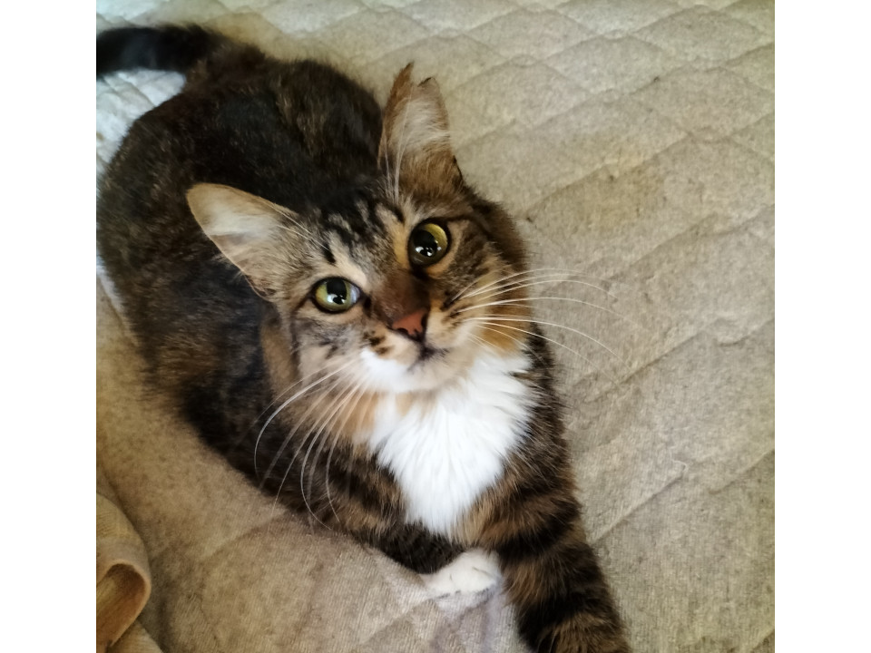 癒し系120％♡あんこ&きなこ姉妹