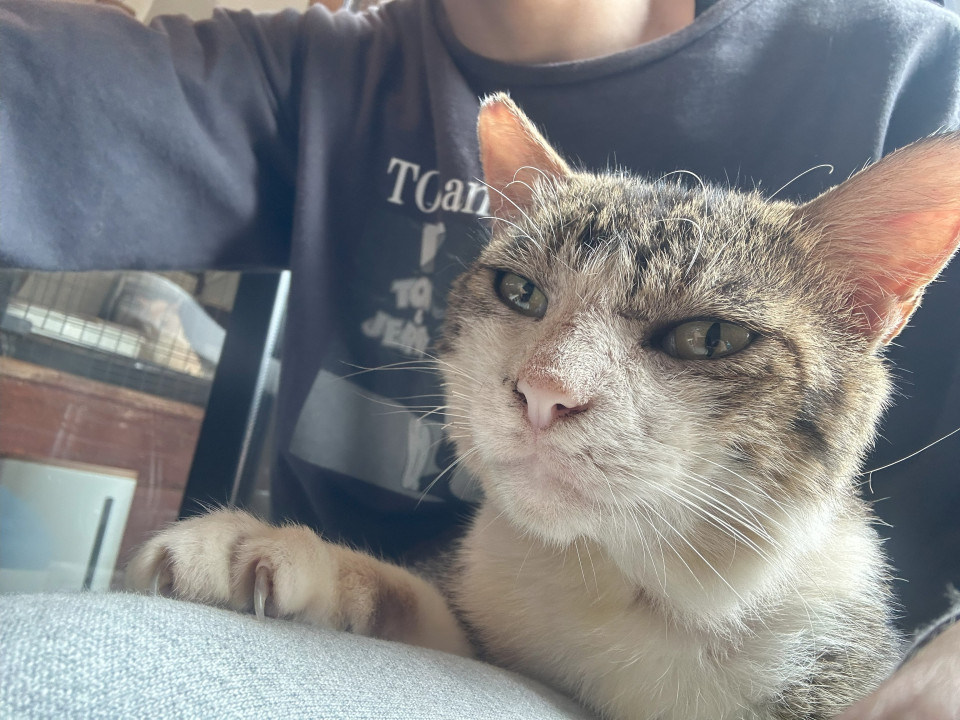 人懐っこい『ペタ』おじさん