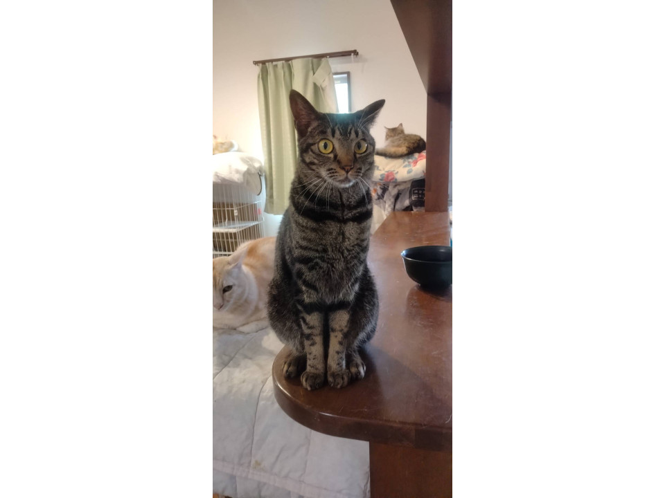 山に捨てられていたなぎちゃん