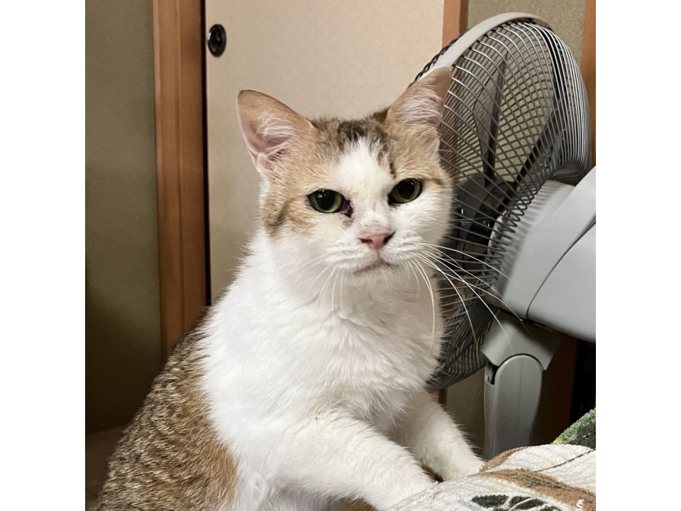 ママもみじ☆10歳前後