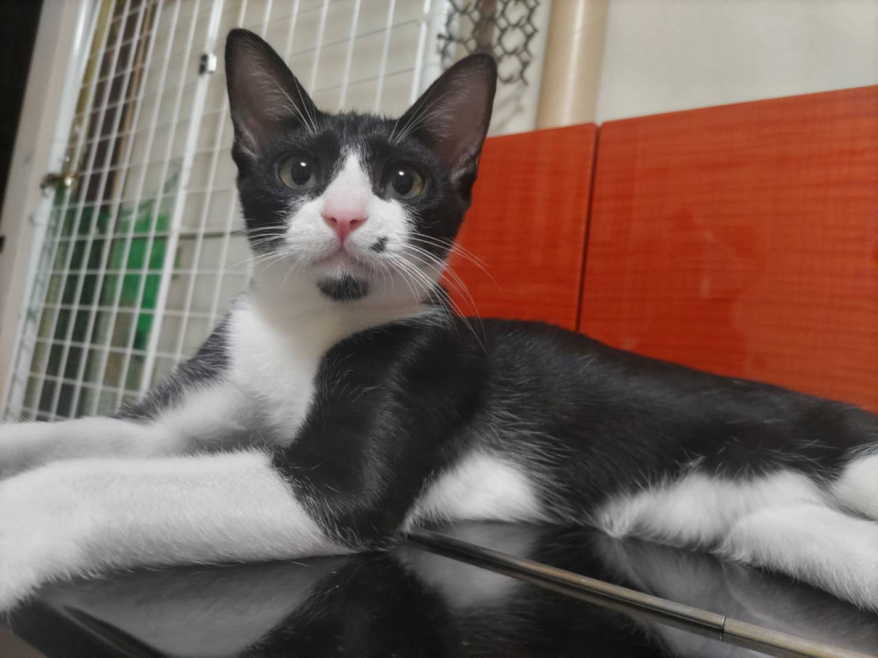 11/2堺市里親会☆ナムル