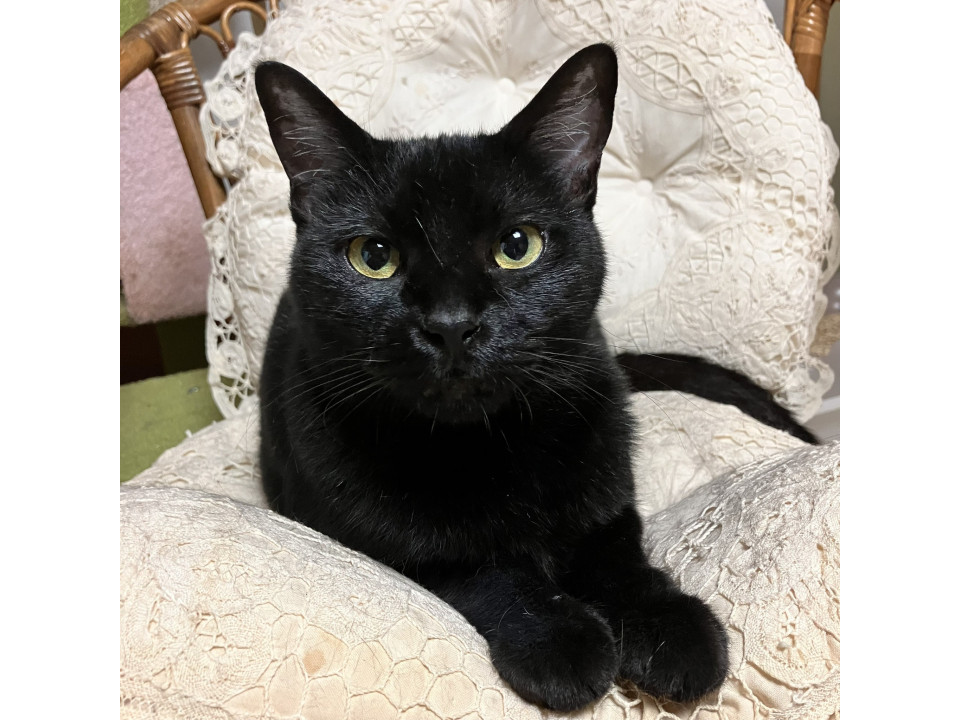 ナッツ子☆5-8歳くらい