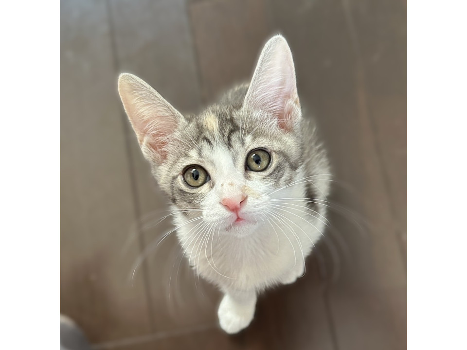 ◆11/24◆甘えんぼのしっかり者♥えま