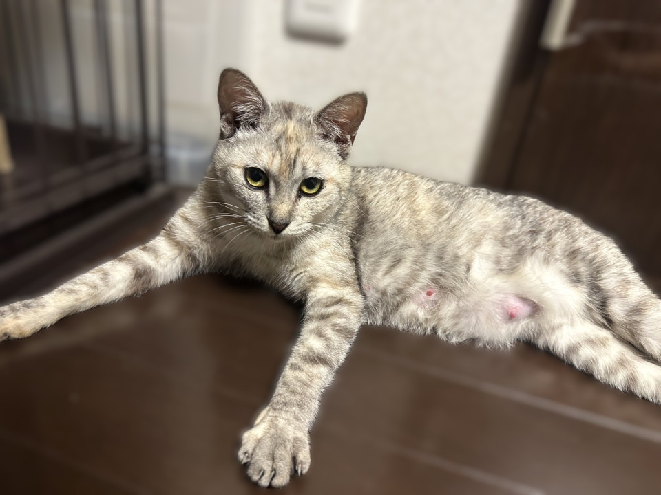 ◆12/27◆おだやかな甘えん坊ママ❤