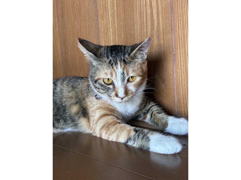 マイペースな可愛い子です。