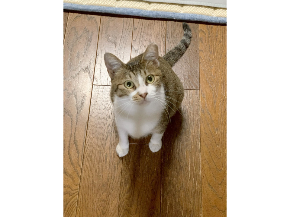 歩いてゴロゴロコテン♡のゆいちゃん♡