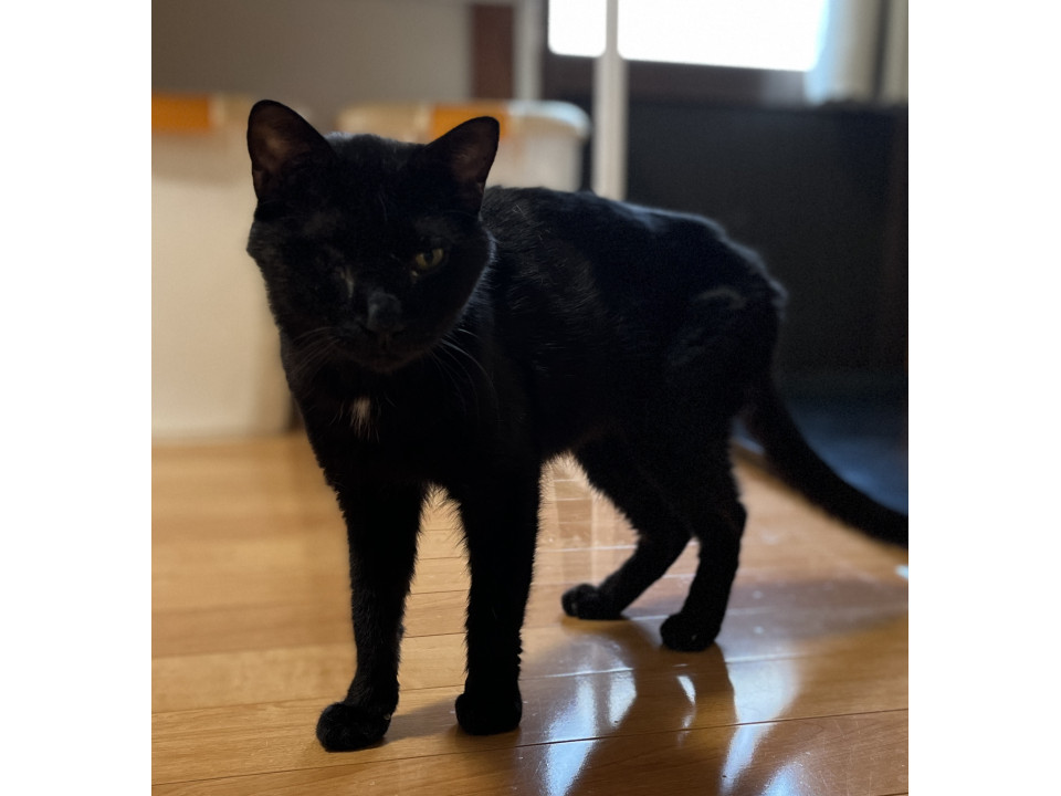 交通事故に会いました