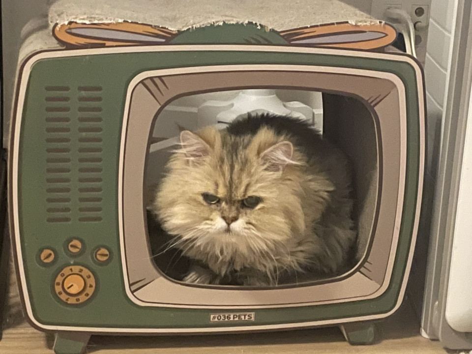 アピュー☆3歳以上