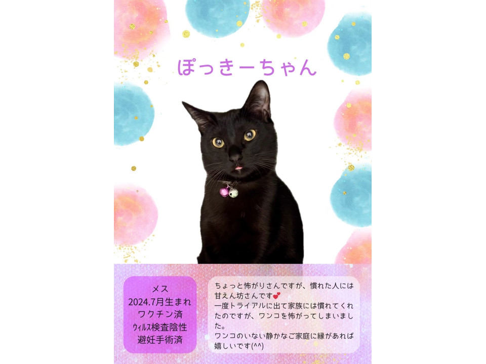 真っ黒な女の子