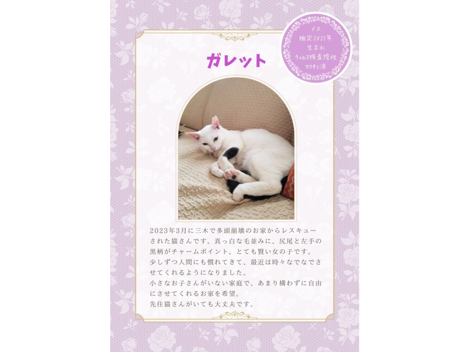 黒い模様がチャームポイント❣️