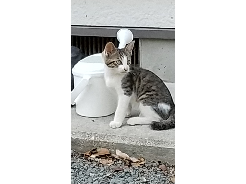 里親さんが決定しました！