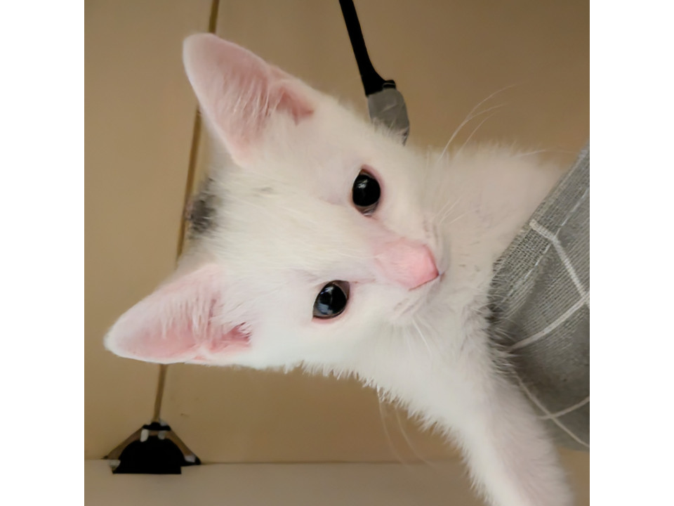 ムチムチボディに癒し系顔の長女ちゃん
