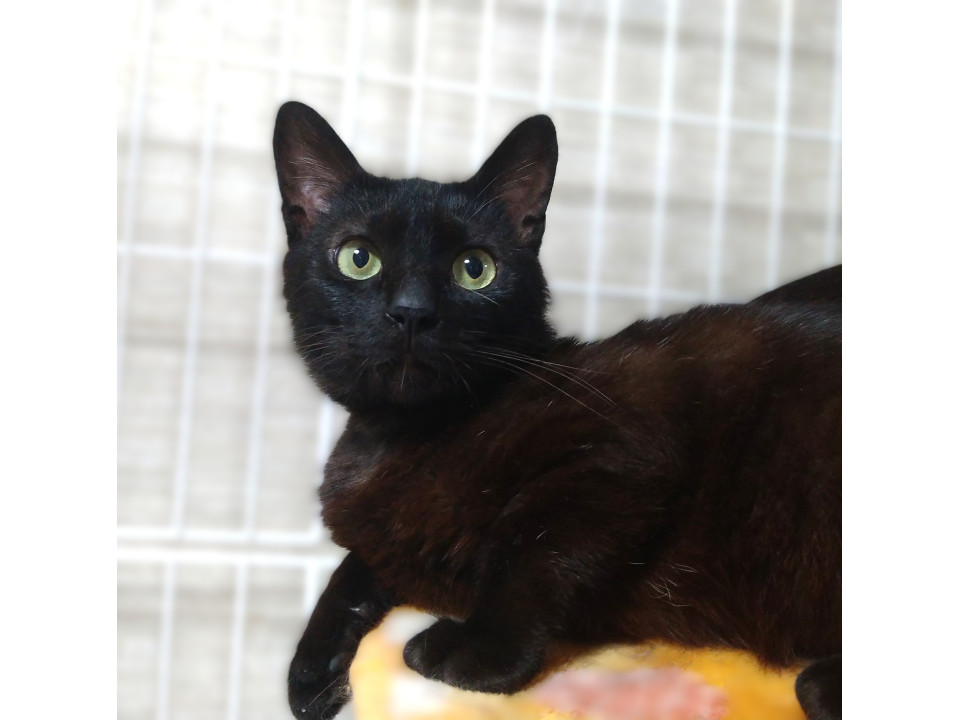 ◆12/27◆かしこくって甘えんぼ♥