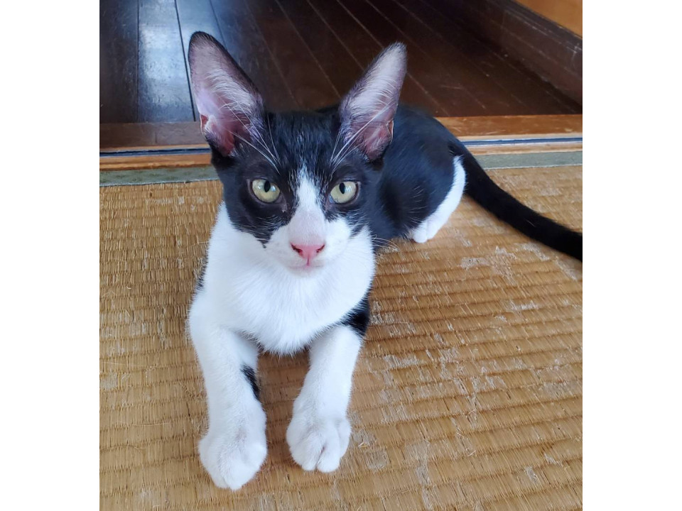 あゆむ☆6ヶ月半くらい