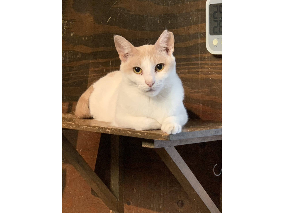 12/7堺市里親会✩水玉ちゃん