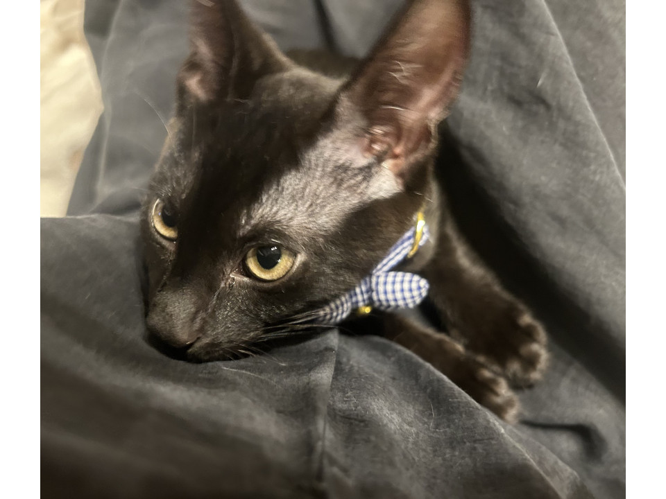 おっとりマイペースな男の子スーくん♡