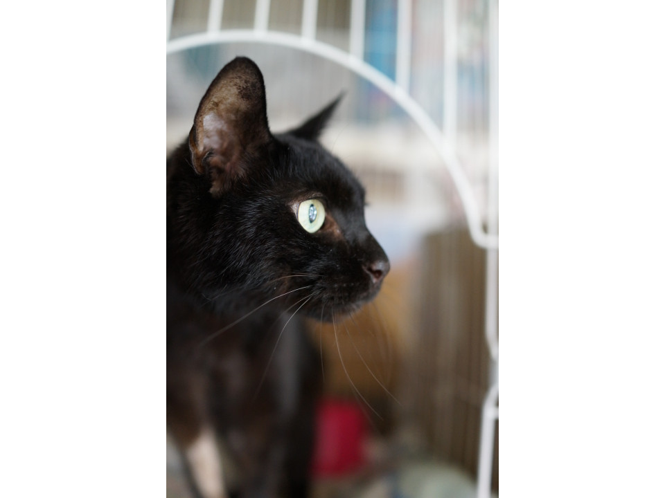 ご高齢の方におすすめです♪