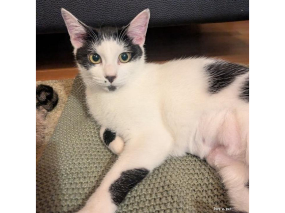 個性的なはっとするかわいさ