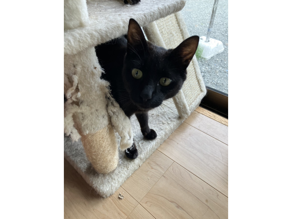 甘えん坊です　スイカくん