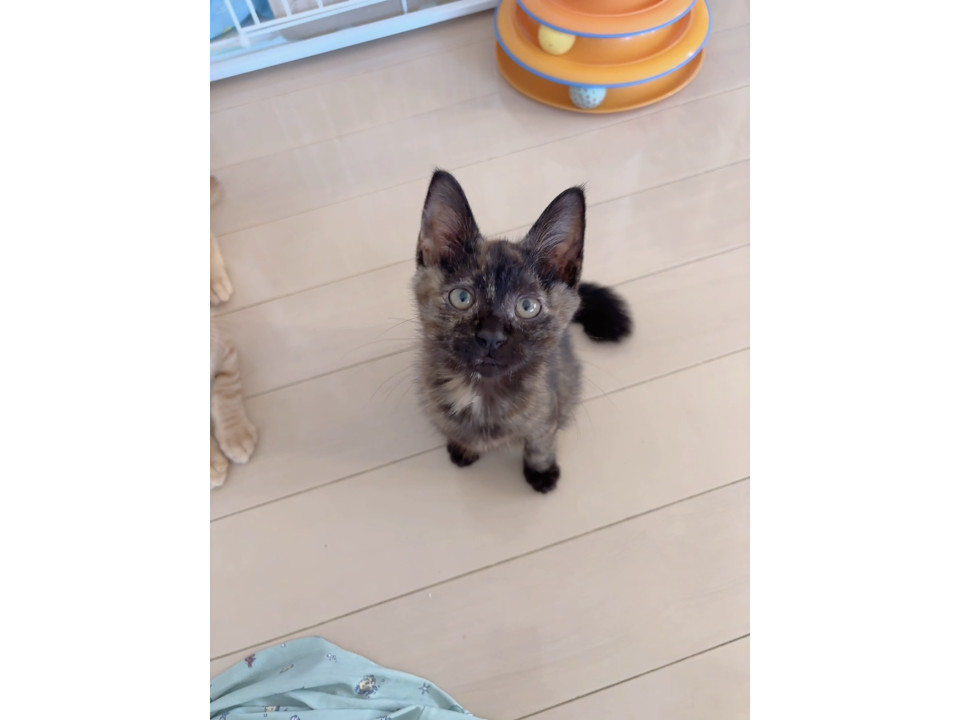 事故から生還❣️元気になったよ❣️