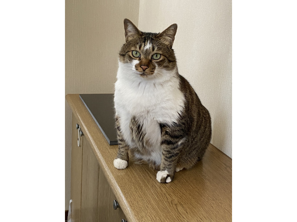 人が大好き！おっとりおじいちゃま