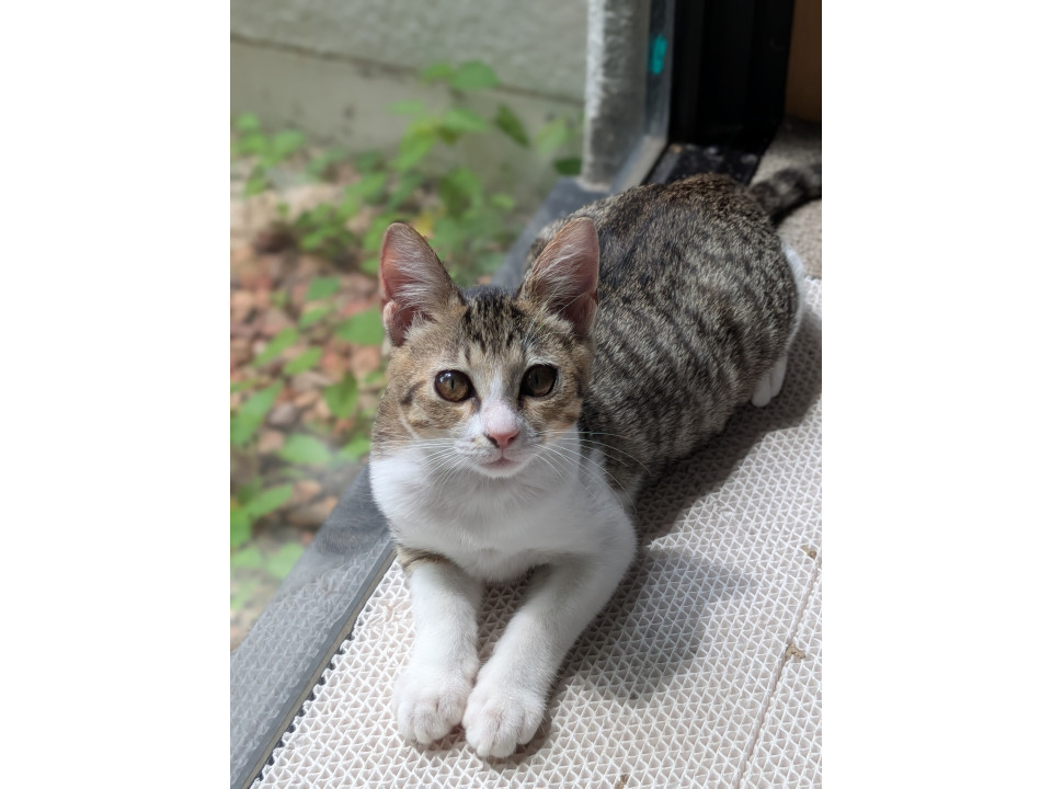 小柄なおっとりさん