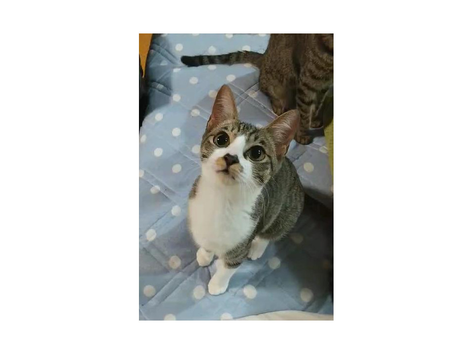 夜な夜なママを探して泣いてたの