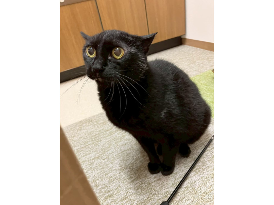 個性的、探検好きな『ののあ』ちゃん