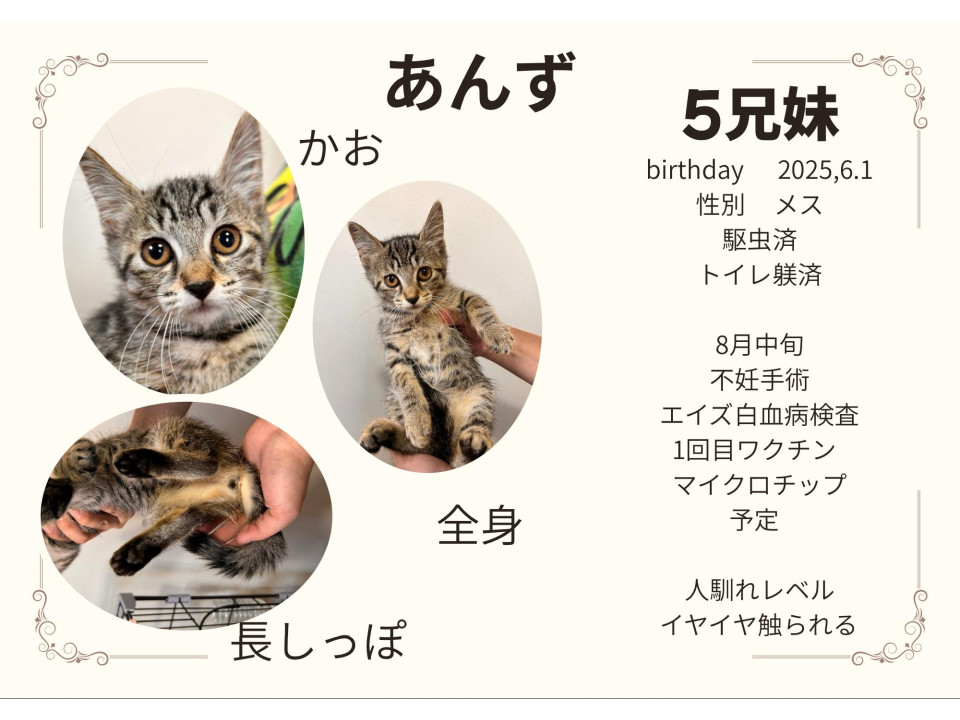 かわいいヒョウの赤ちゃん!?