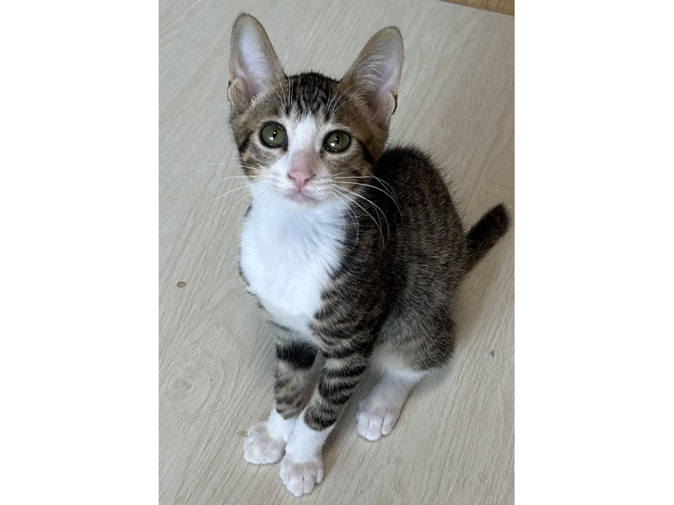 ナデナデされるとウットリ☺慎重派ならい君