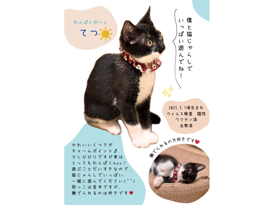 撫でられるのは大好き❣️