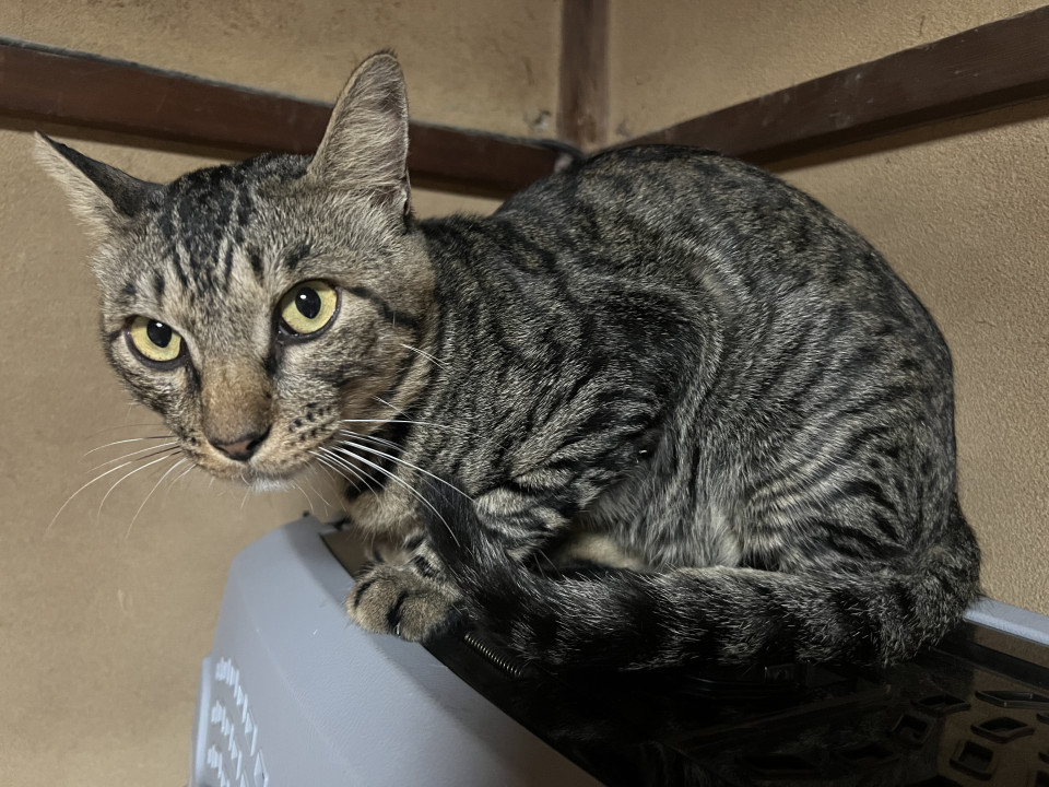 ちょっとビビりなイケメンくん