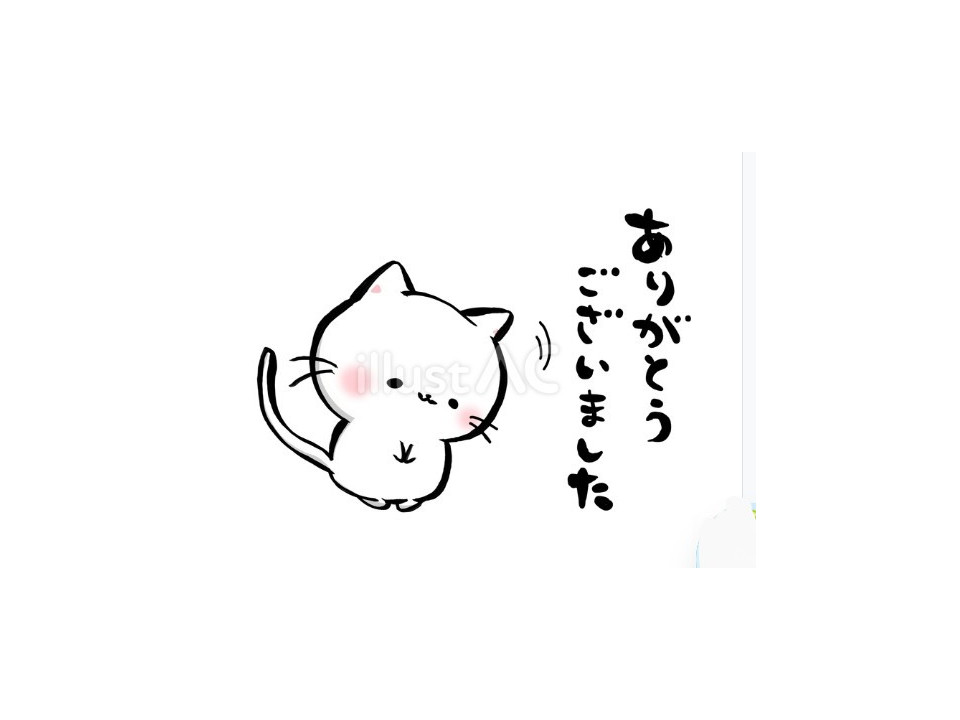 スコティッシュの女の子❤️