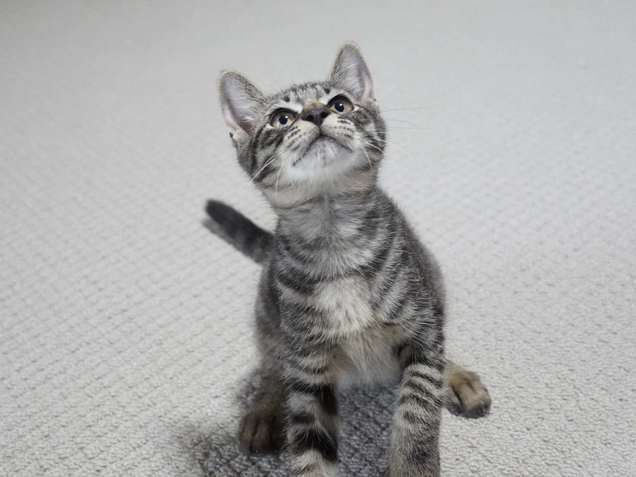 活発なお兄ちゃんタイプ♪