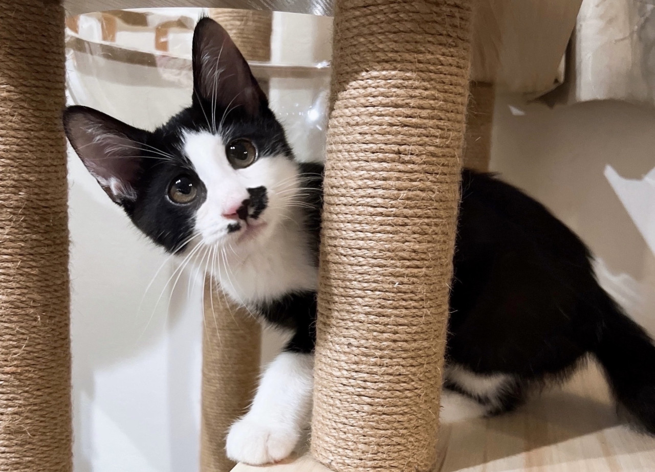 好奇心旺盛で人懐っこい男の子