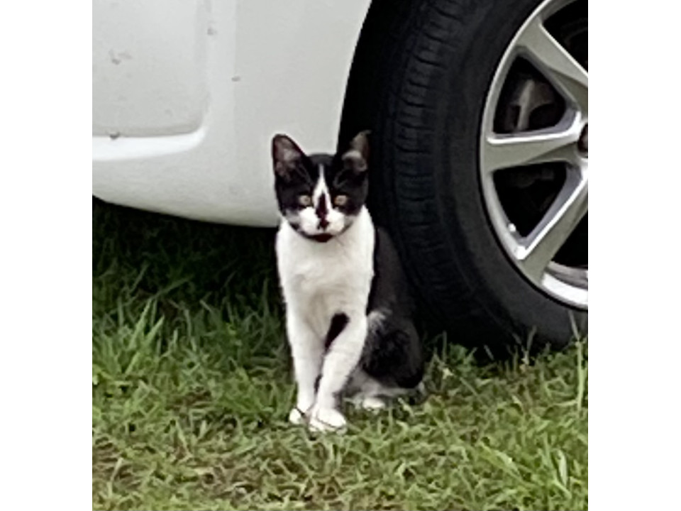 個性的なお顔の男の子