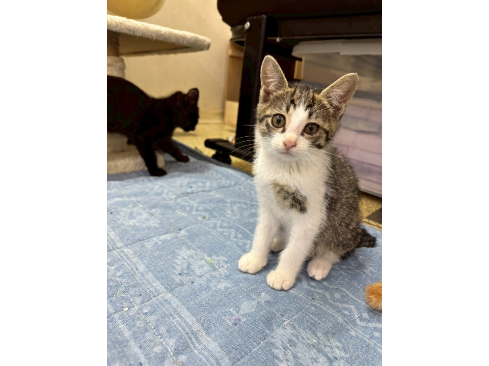 寂しがりやさんのセリムちゃん