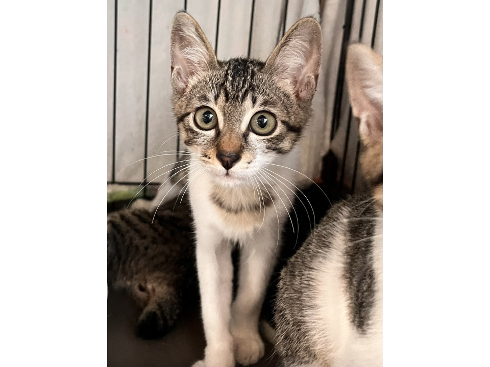 ズン☆7ヶ月くらい