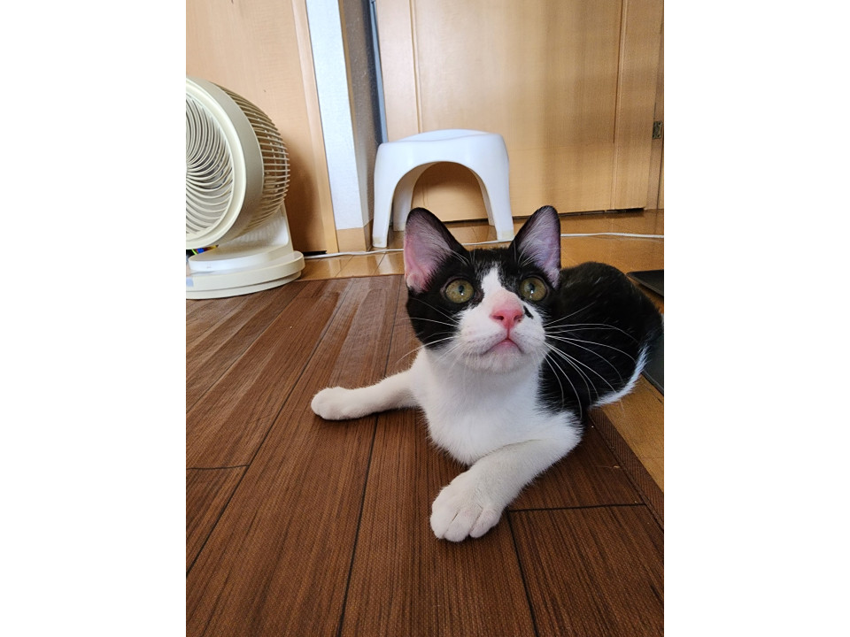 ずっと一緒にいてほしい僕♪