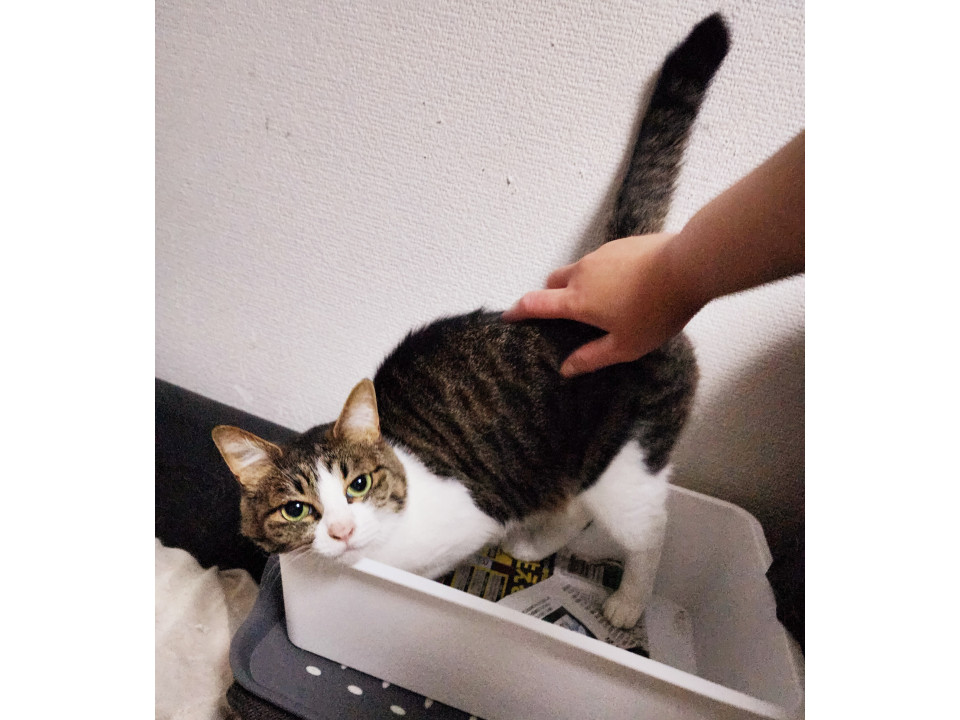 私だけを見てほしい♪