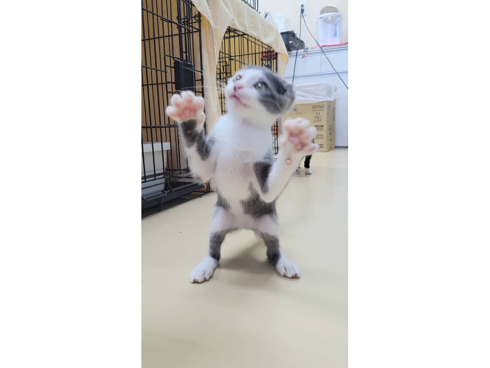 人が好きすぎて写真がとれません。