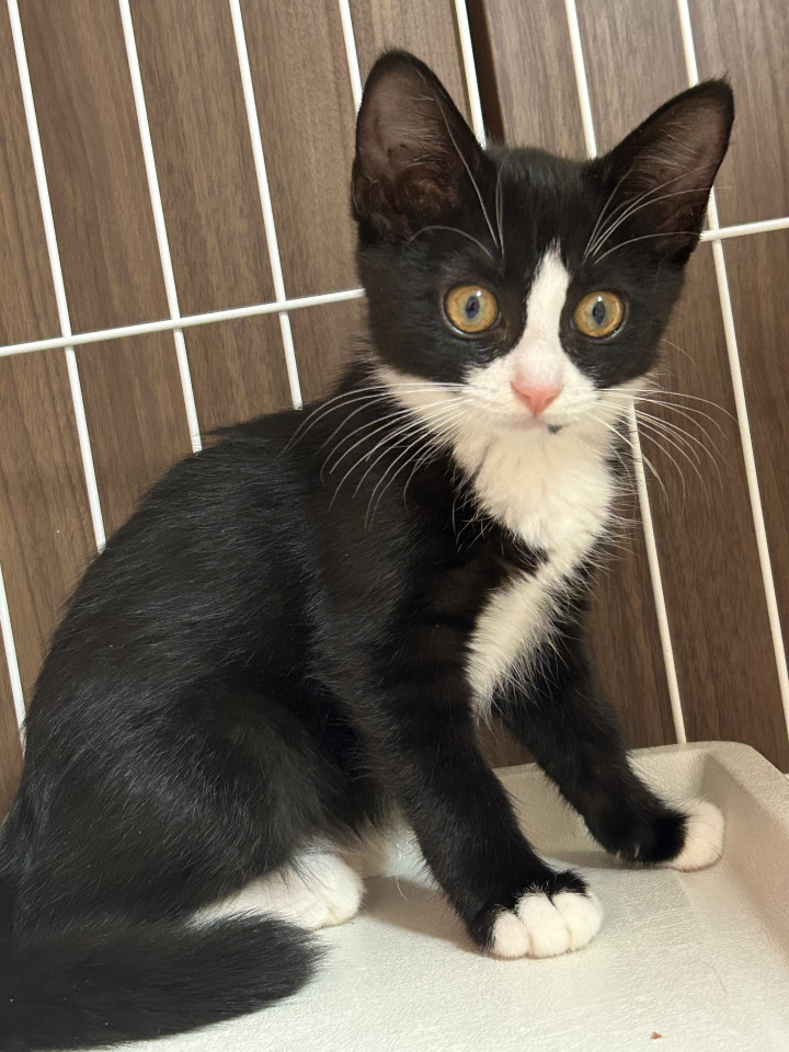 元気いっぱいな蘭ちゃん