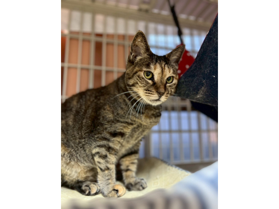 ビビリで甘えたい仕草が可愛い ♡ゆっきー