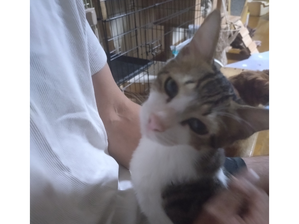 ビビリなおっとりちゃん