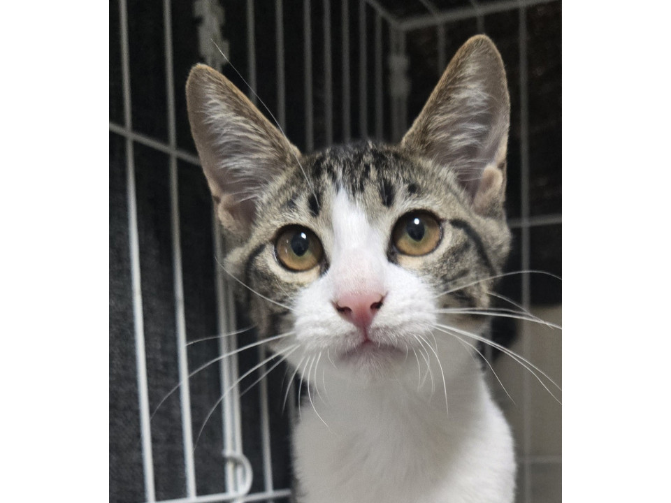 10/18さいたま指扇参加